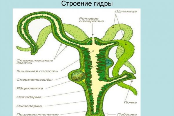 Ошибка на сервере кракен